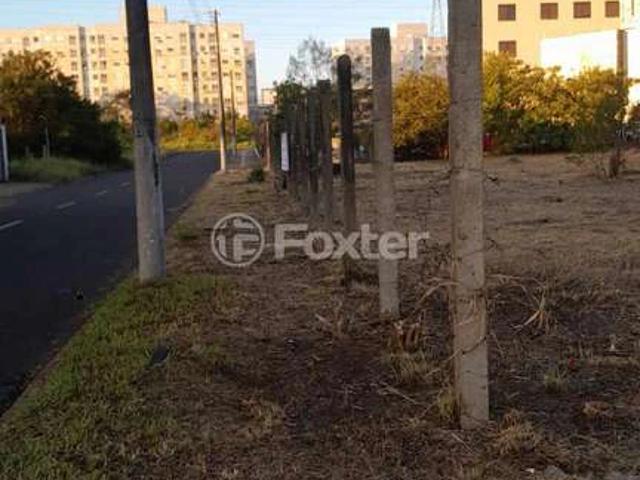 Terreno venda em Vila Monte Carlo, Cachoeirinha