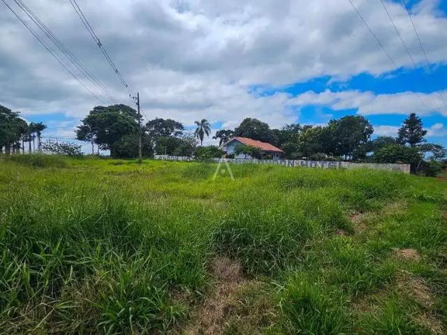 Terreno venda em Região Geográfica Imediata de Cascavel, Cafelândia