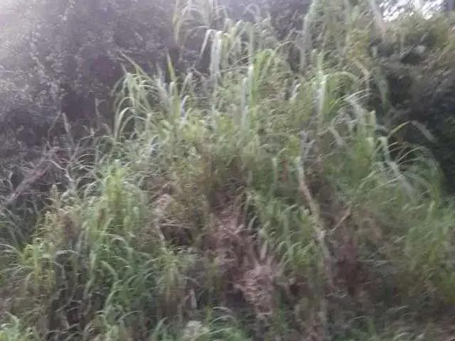 Terreno venda em Região Imediata de São Paulo, Região Metropolitana de São Paulo