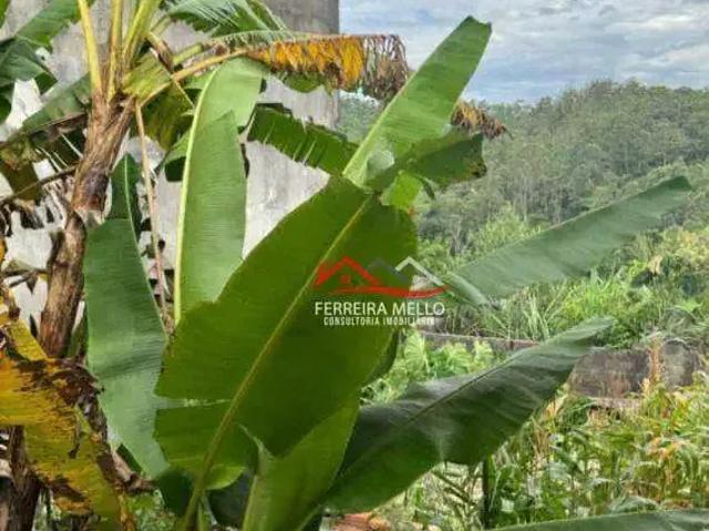 Terreno venda em Jardim Santa Edwiges, Caieiras