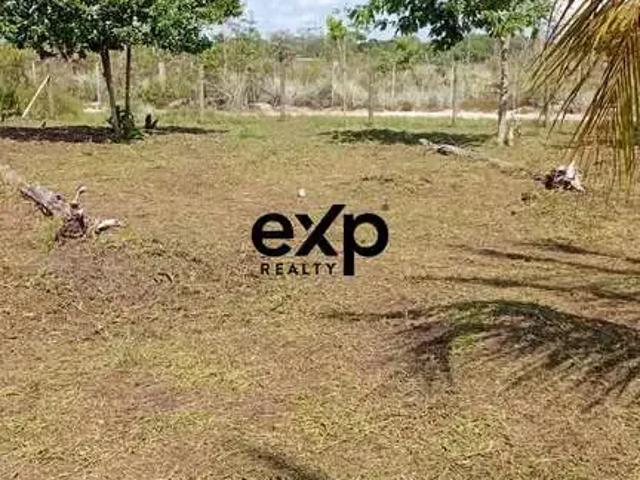 Terreno venda em Região Geográfica Imediata de Valença, Cairu