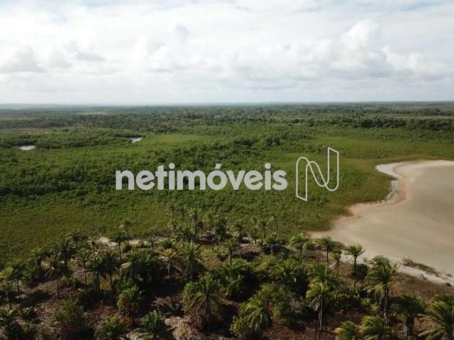 Terreno venda em Região Geográfica Imediata de Valença, Cairu