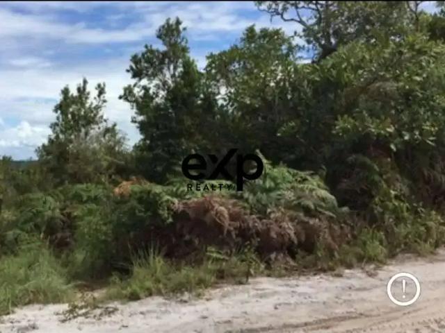Terreno venda em Região Geográfica Imediata de Valença, Cairu