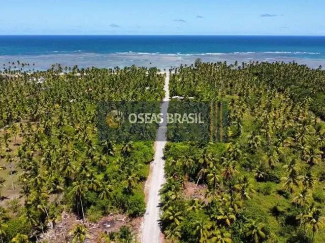 Terreno venda em Região Geográfica Imediata de Valença, Cairu
