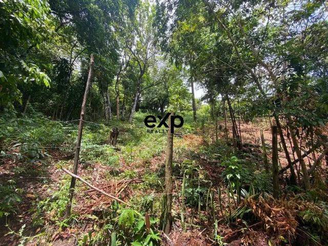 Terreno venda em Região Geográfica Imediata de Valença, Cairu