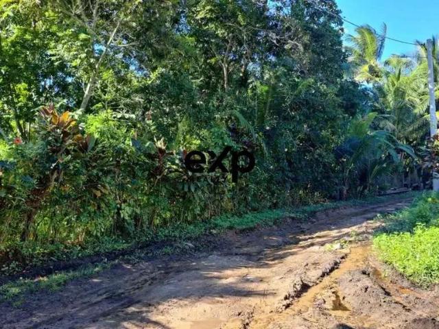Terreno venda em Região Geográfica Imediata de Valença, Cairu