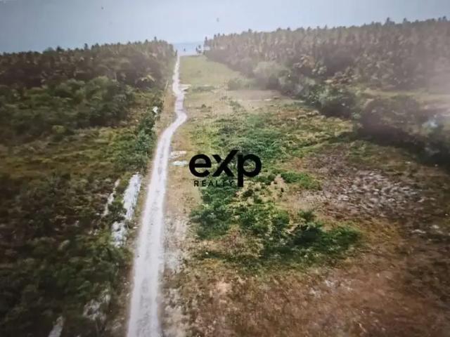 Terreno venda em Região Geográfica Imediata de Valença, Cairu