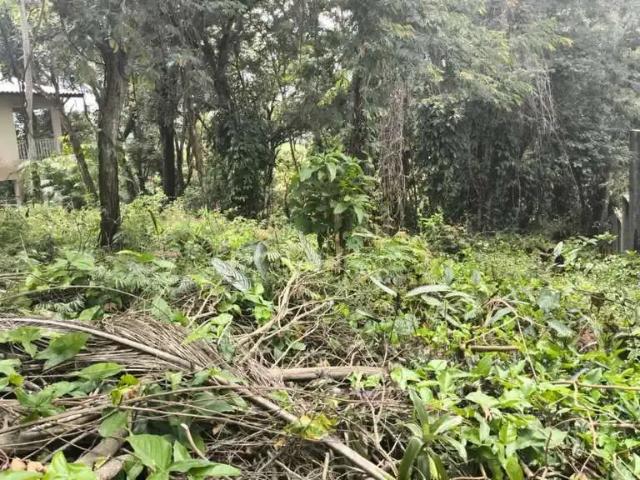Terreno venda em Jordanésia, Cajamar