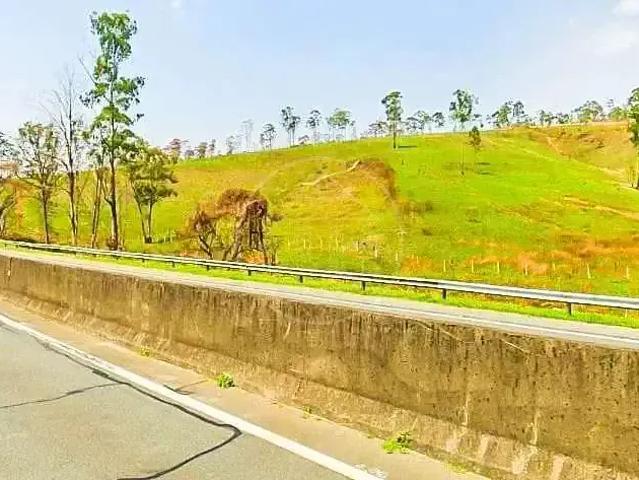 Terreno venda em Vila Abrão, Cajamar