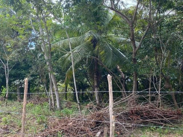Terreno venda em Condominio Parque do Jacuipe, Camaçari