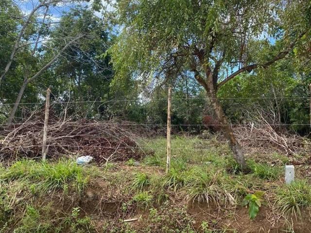 Terreno venda em Abrantes, Camaçari