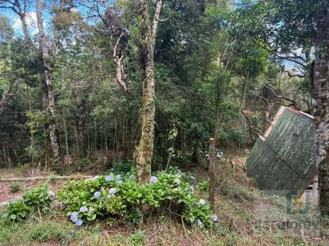 Terreno venda em Região Geográfica Imediata de Pouso Alegre, Camanducaia