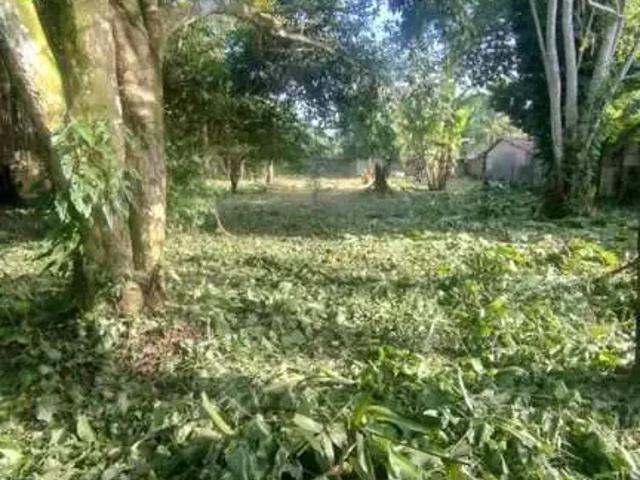 Terreno venda em Região Geográfica Imediata do Recife, Região Metropolitana do Recife
