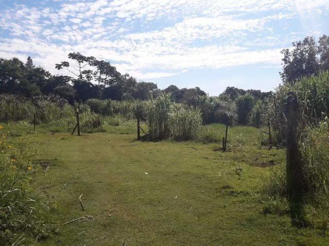 Terreno venda em Centro, Cambé