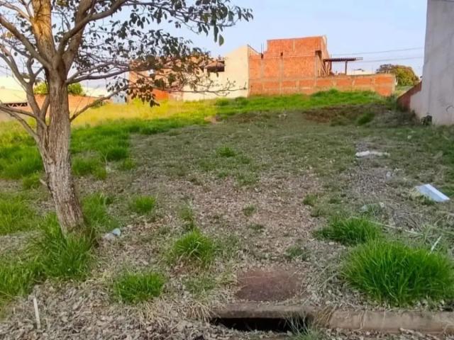 Terreno venda em Centro, Cambé