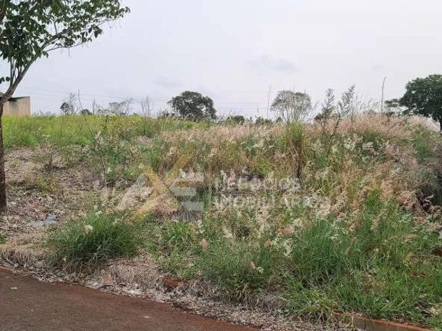 Terreno venda em Cambé, Região Geográfica Intermediária de Londrina