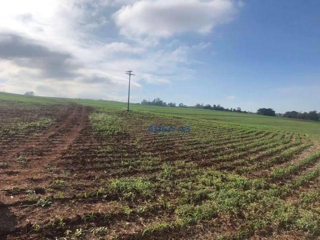 Terreno venda em Região Geográfica Imediata de Londrina, Cambé