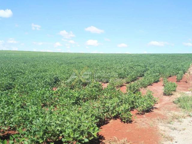 Terreno venda em Cambé, Região Geográfica Intermediária de Londrina