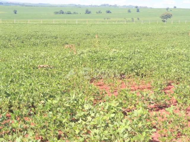 Terreno venda em Cambé, Região Geográfica Intermediária de Londrina