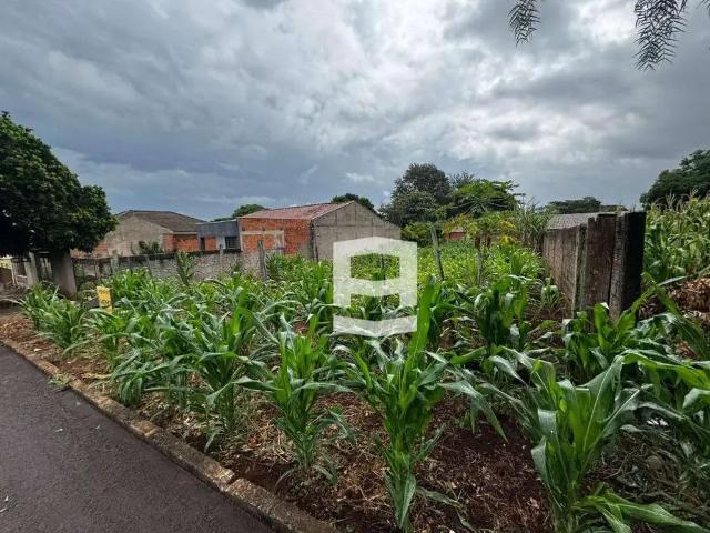 Terreno venda em Jardim das Flores, Cambira