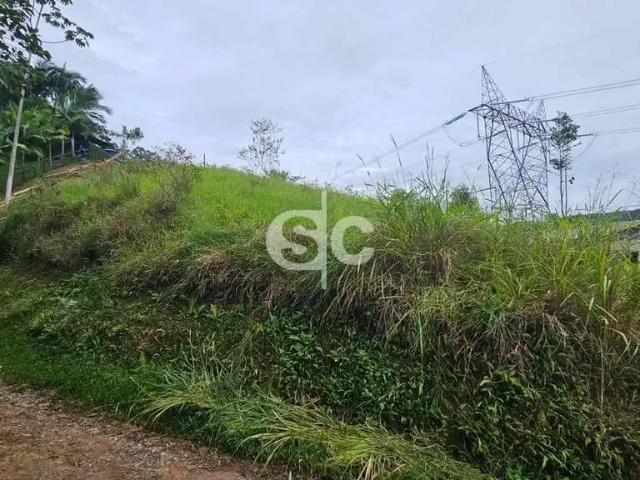 Terreno venda em Região Geográfica Imediata de Itajaí, Camboriú