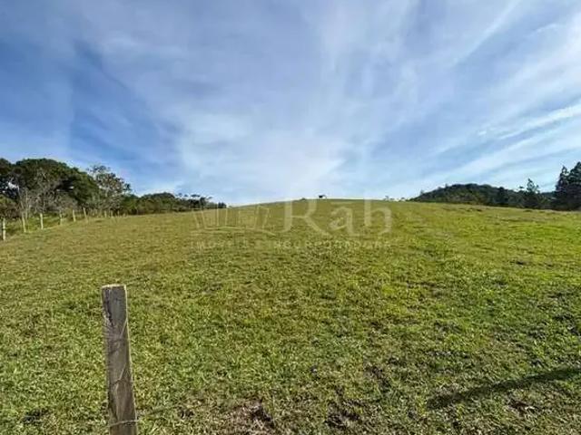 Terreno venda em Região Geográfica Imediata de Itajaí, Camboriú