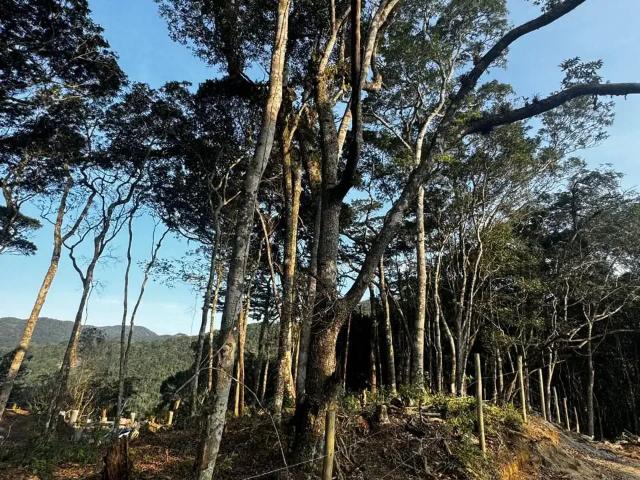 Terreno venda em Região Geográfica Imediata de Itajaí, Camboriú