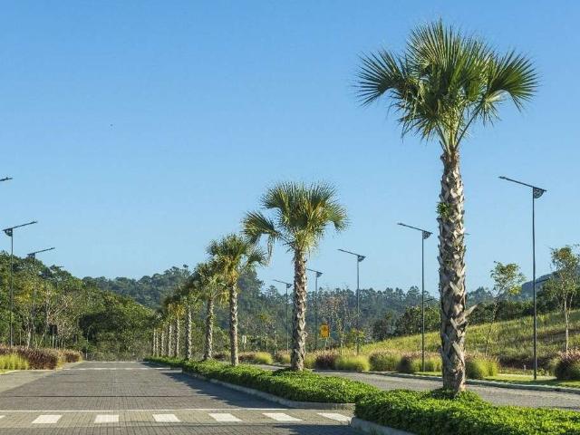 Terreno venda em Região Geográfica Imediata de Itajaí, Camboriú