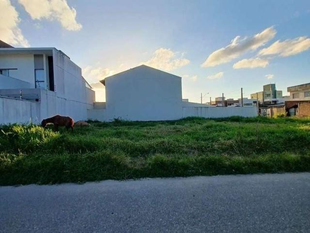 Terreno venda em Rio Pequeno, Camboriú