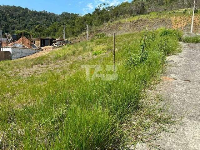 Terreno venda em Região Geográfica Imediata de Itajaí, Camboriú