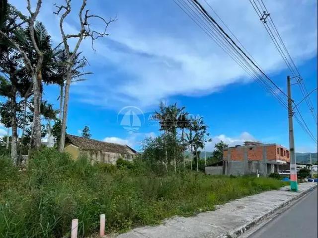 Terreno venda em Região Geográfica Imediata de Itajaí, Camboriú