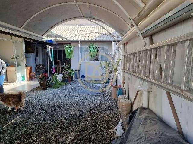 Terreno venda em Monte Alegre, Camboriú