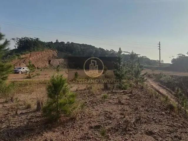 Terreno venda em Região Geográfica Imediata de Itajaí, Balneario Camboriú
