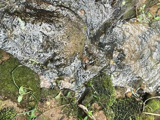 Terreno venda em Centro, Cambuí