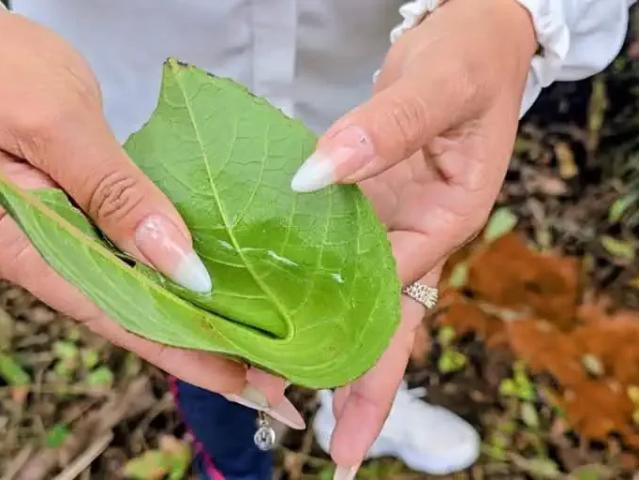 Terreno venda em Região Geográfica Imediata de Pouso Alegre, Cambuí