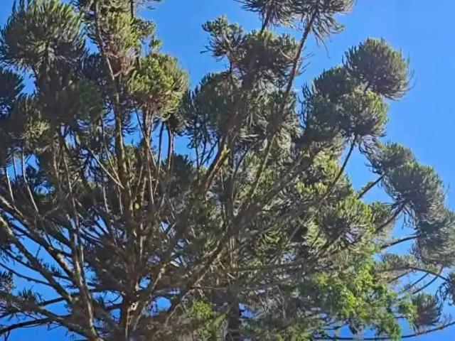 Terreno venda em Região Geográfica Imediata de Pouso Alegre, Cambuí