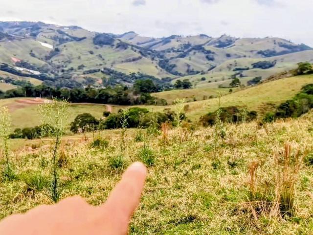 Terreno venda em Região Geográfica Imediata de Pouso Alegre, Cambuí