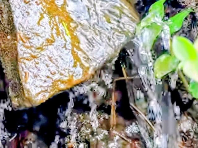 Terreno venda em Região Geográfica Imediata de Pouso Alegre, Cambuí