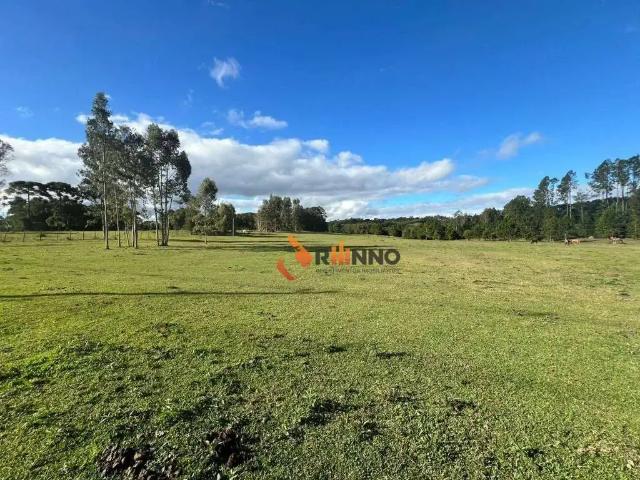 Terreno venda em Região Geográfica Imediata de Curitiba, Região Metropolitana de Curitiba