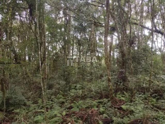 Terreno venda em Região Geográfica Imediata de Curitiba, Região Metropolitana de Curitiba