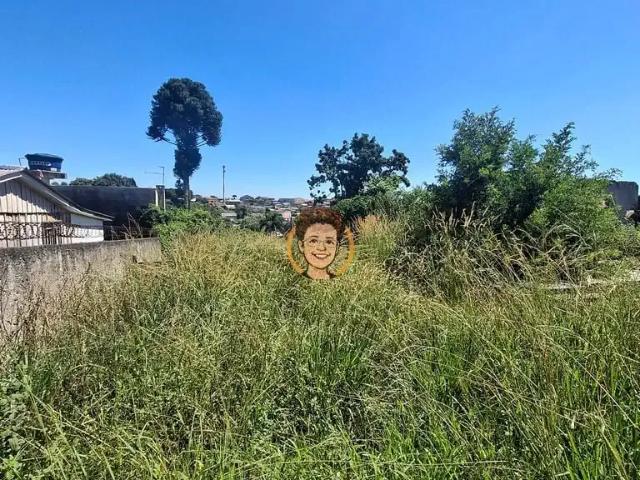 Terreno venda em Campina Grande do Sul, Região Geográfica Intermediária de Curitiba