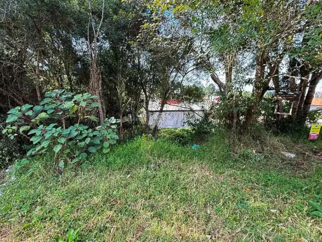 Terreno venda em Jardim Santa Rita de Cássia, Campina Grande do Sul