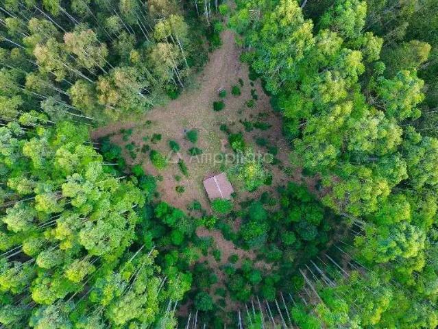 Terreno venda em Região Geográfica Imediata de Curitiba, Região Metropolitana de Curitiba
