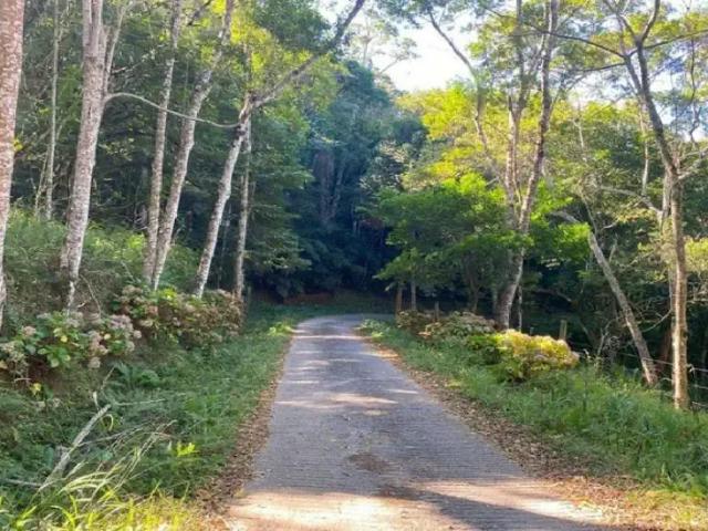 Terreno venda em Região Geográfica Imediata de Curitiba, Região Metropolitana de Curitiba