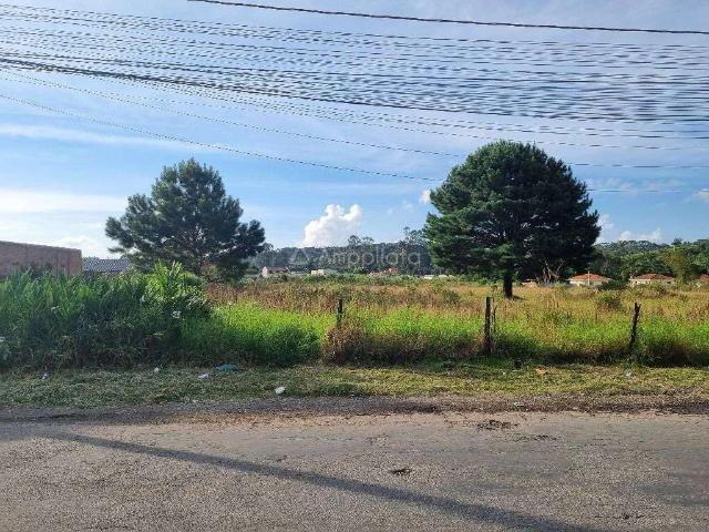 Terreno venda em Campina Grande do Sul, Região Geográfica Intermediária de Curitiba