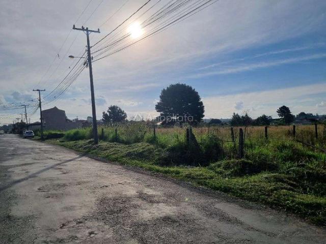 Terreno venda em Campina Grande do Sul, Região Geográfica Intermediária de Curitiba