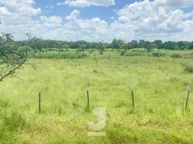 Terreno venda em Barão Geraldo, Campinas