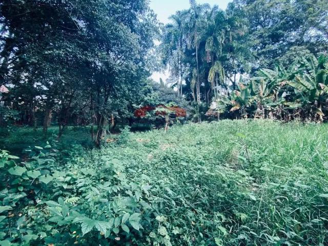 Terreno venda em Região Imediata de Campinas, Região Metropolitana de Campinas