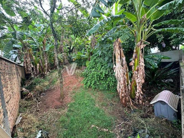 Terreno venda em Chácaras São Martinho, Campinas