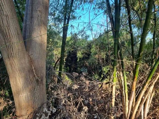 Terreno venda em Região Imediata de Campinas, Região Metropolitana de Campinas